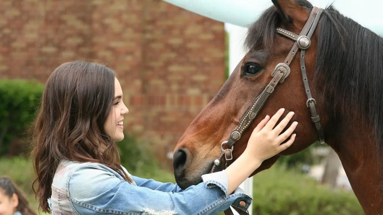 Play A Cowgirl's Story