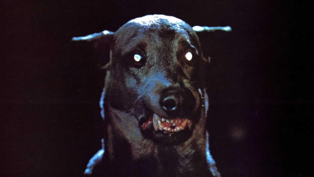 Play Dracula's Dog