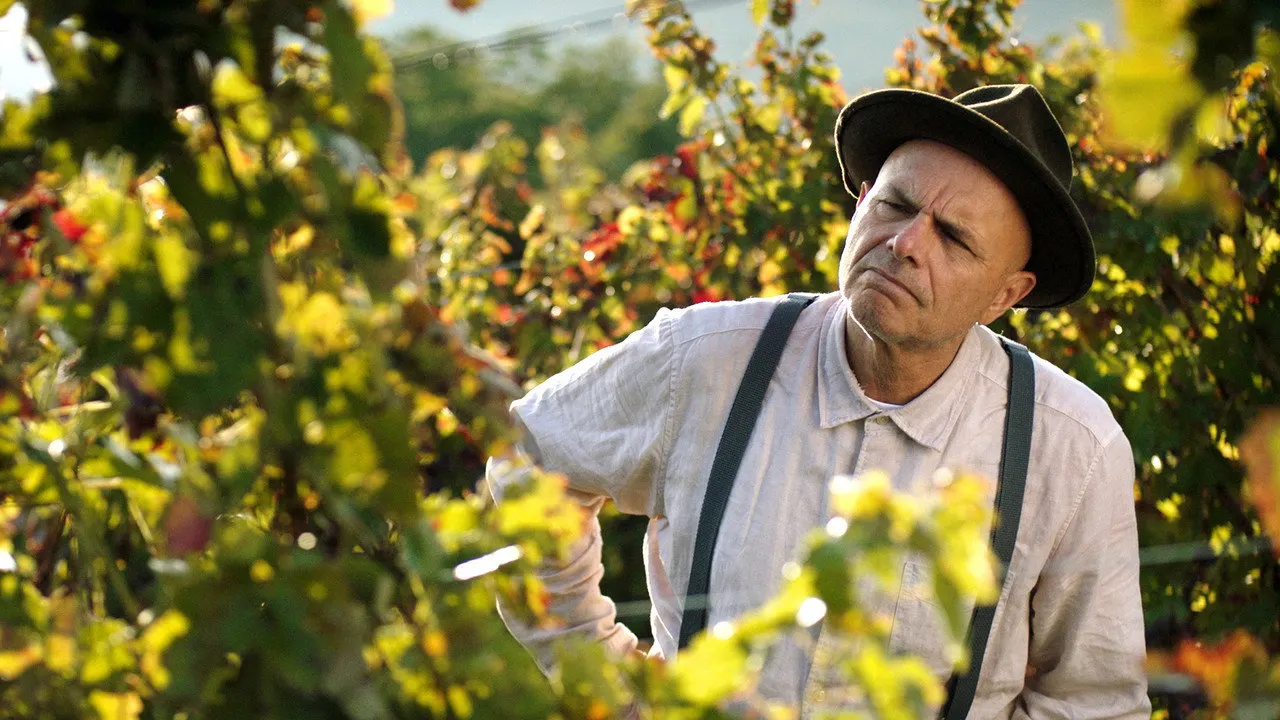 Play From the Vine