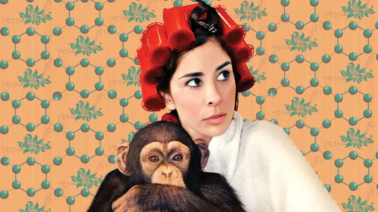 Play Sarah Silverman: We Are Miracles