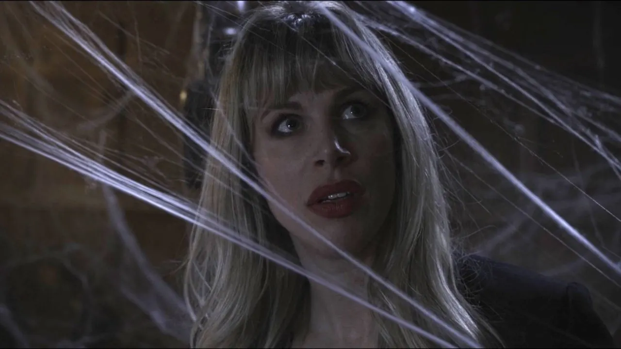Play Spider in the Attic