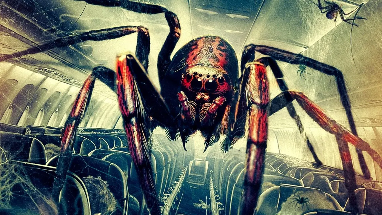Play Spiders on a Plane