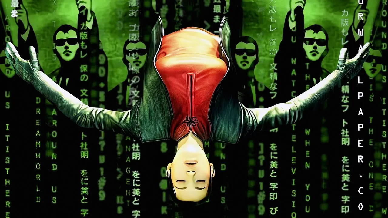 Play The Animatrix