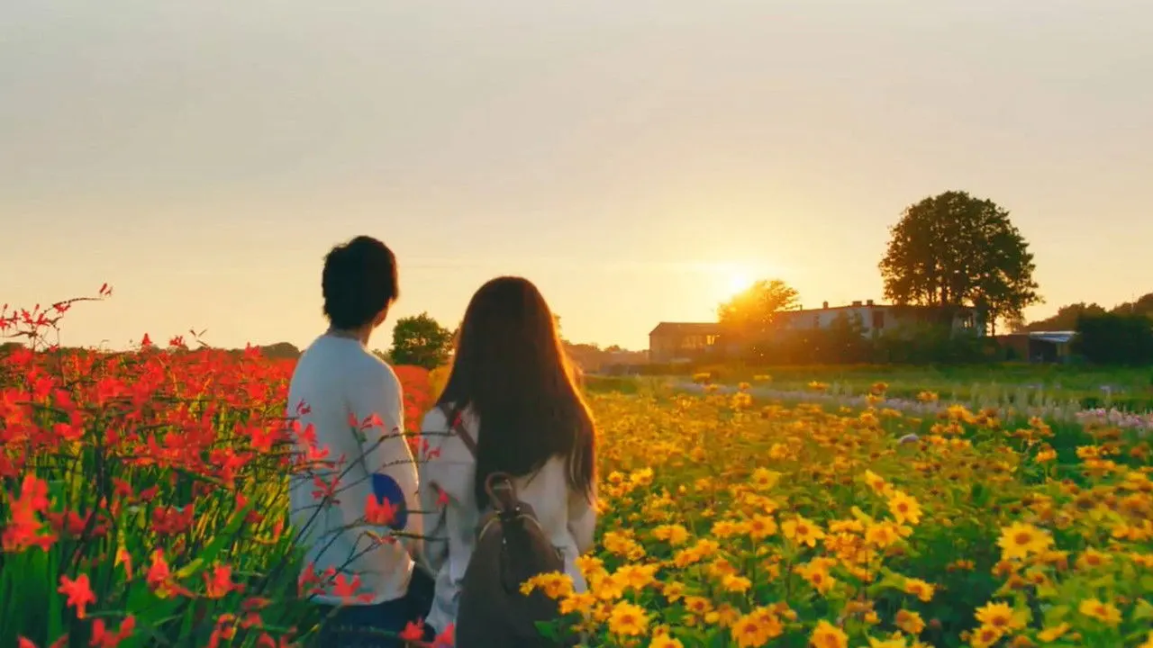 Play The Hows of Us