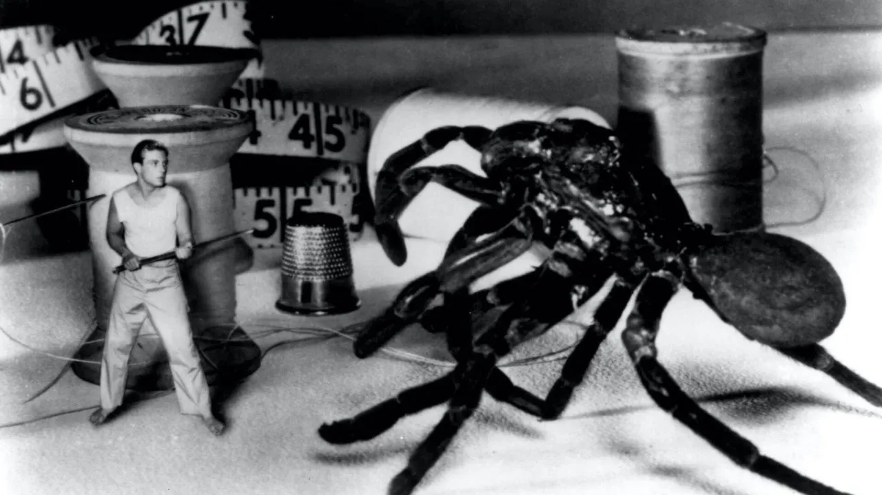 Play The Incredible Shrinking Man