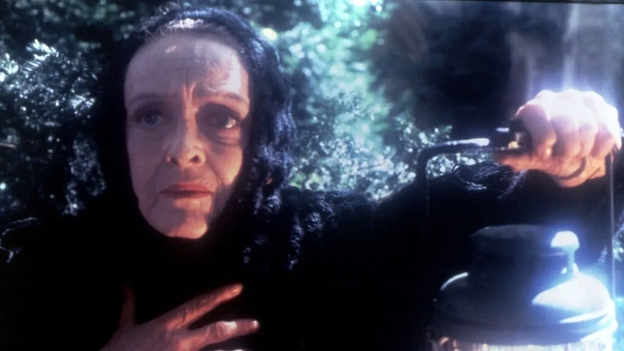 Play The Watcher in the Woods