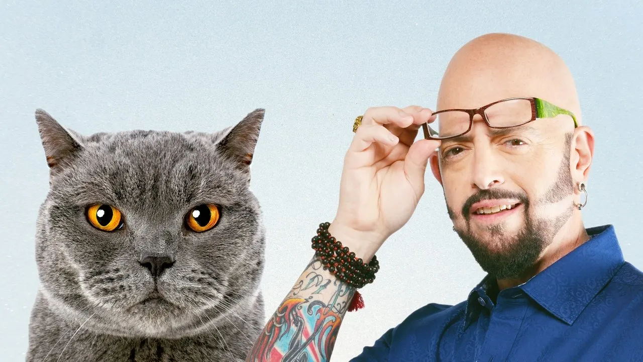 Play My Cat from Hell