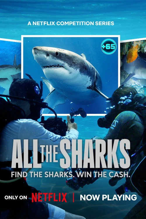 All the Sharks poster