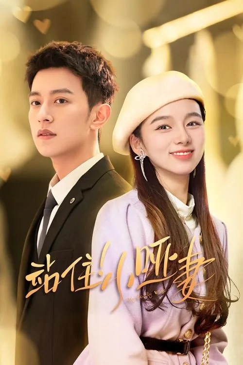 My Lovely Wife poster